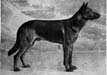 Small picture of VA Arno von der Eichenburg