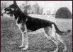 Small picture of VA Dolf Düsternbrock