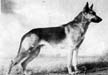 Small picture of VA Harras Jüch