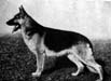 Small picture of VA Hardt vom Stüveschacht