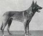 Small picture of VA Aribert von Grafrath
