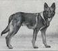 Small picture of VA Peter von Pritschen