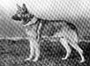 Small picture of VA Tell von der Kriminalpolizei